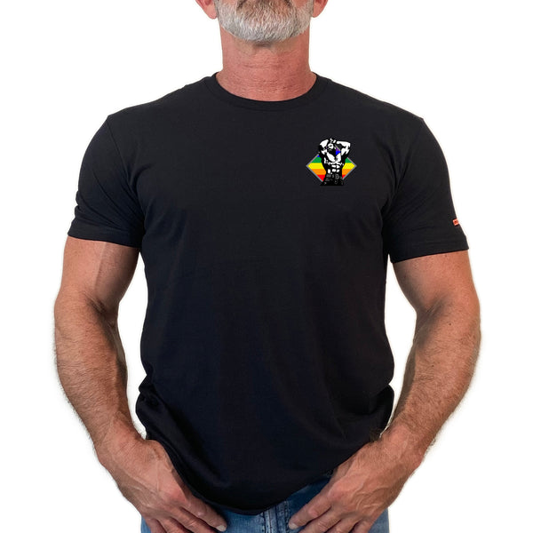 Shine with Pride T-shirt and Tank Top. (Colors)