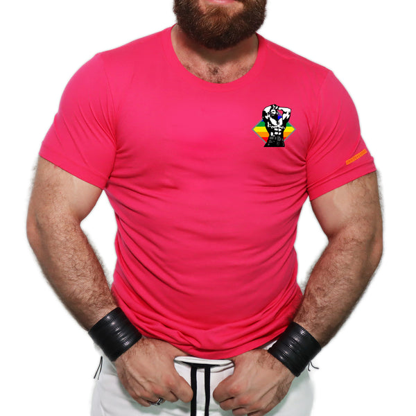Shine with Pride Small Logo T-shirt and Tank Top. (Colors)